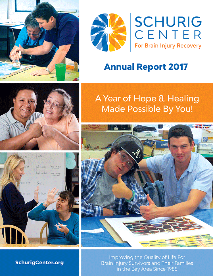 Image of 2017 Annual Report Cover