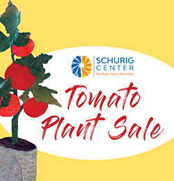 tomato plant sale graphic